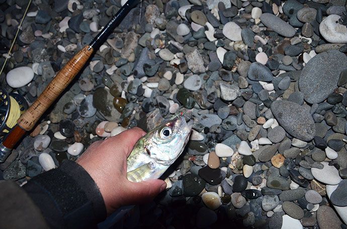 Rock Fishing на Черном море