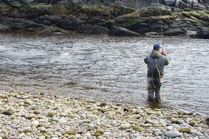 Во время начала прилива морская кумжа часто ловится в узких местах впадения реки в море